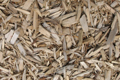 biomass boilers Coultings
